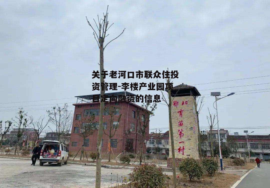 关于老河口市联众住投资管理-李楼产业园项目定向融资的信息