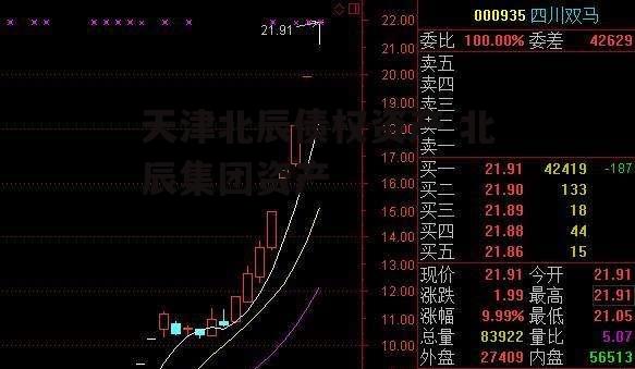 天津北辰债权资产 北辰集团资产