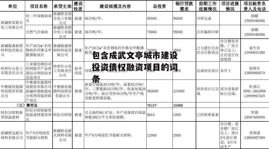 包含成武文亭城市建设投资债权融资项目的词条