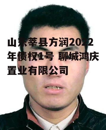 山东莘县方润2022年债权1号 聊城鸿庆置业有限公司