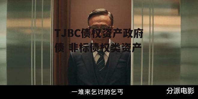 TJBC债权资产政府债 非标债权类资产