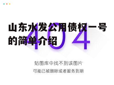 山东水发公用债权一号的简单介绍