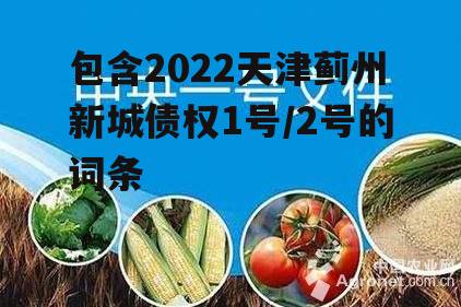 包含2022天津蓟州新城债权1号/2号的词条