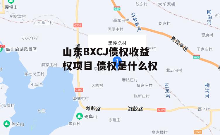 山东BXCJ债权收益权项目 债权是什么权