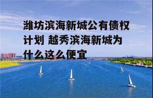 潍坊滨海新城公有债权计划 越秀滨海新城为什么这么便宜