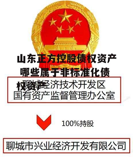 山东正方控股债权资产 哪些属于非标准化债权资产