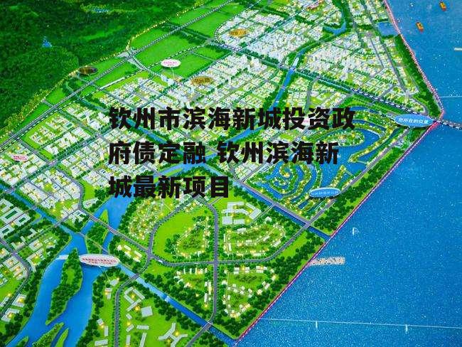 钦州市滨海新城投资政府债定融 钦州滨海新城最新项目