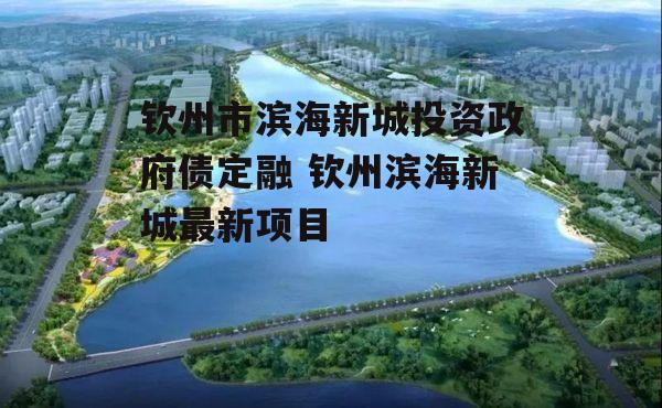 钦州市滨海新城投资政府债定融 钦州滨海新城最新项目