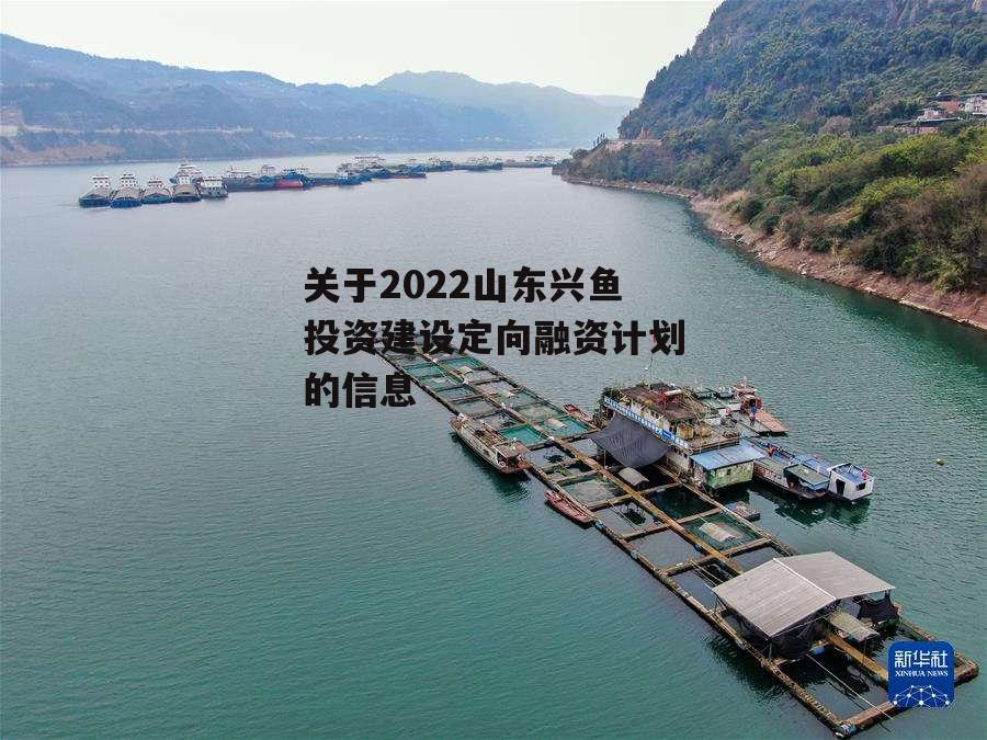 关于2022山东兴鱼投资建设定向融资计划的信息