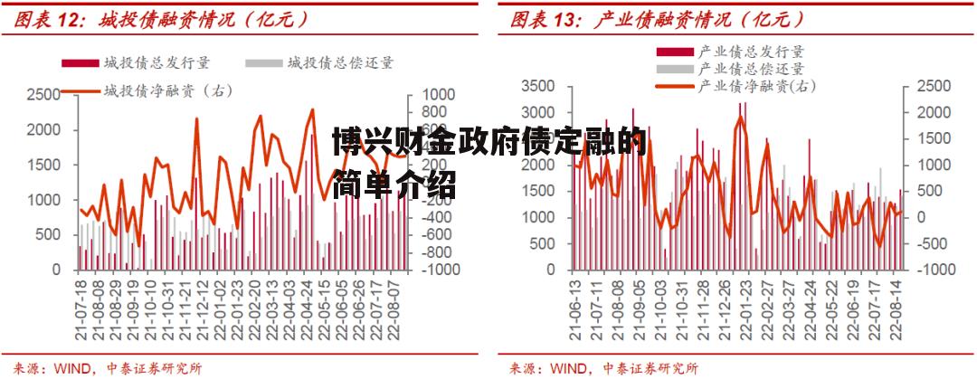 博兴财金政府债定融的简单介绍