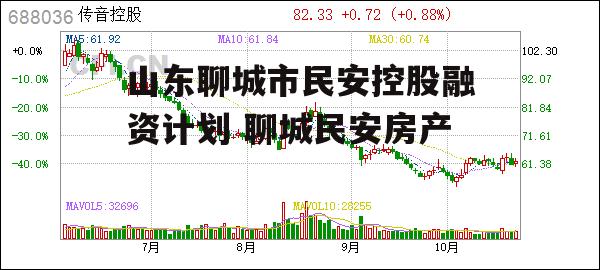 山东聊城市民安控股融资计划 聊城民安房产