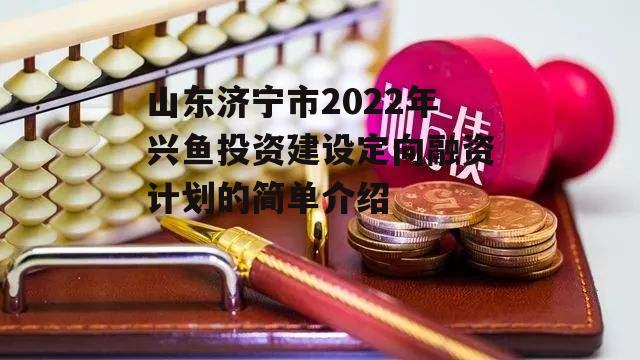 山东济宁市2022年兴鱼投资建设定向融资计划的简单介绍