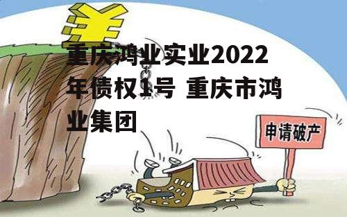 重庆鸿业实业2022年债权1号 重庆市鸿业集团