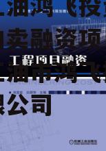 四川江油鸿飞投资债权资产拍卖融资项目 四川省江油市鸿飞投资集团有限公司