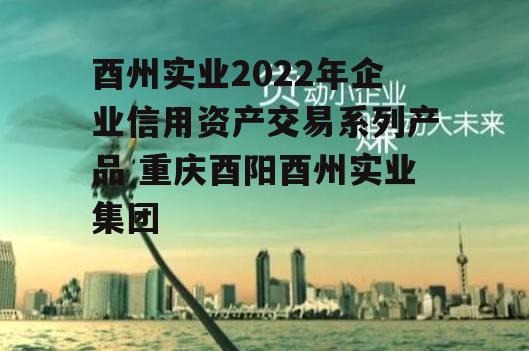 酉州实业2022年企业信用资产交易系列产品 重庆酉阳酉州实业集团