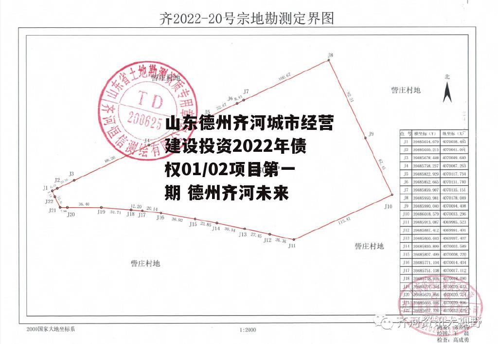 山东德州齐河城市经营建设投资2022年债权01/02项目第一期 德州齐河未来