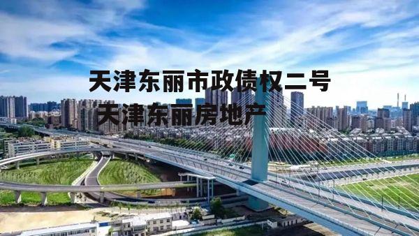 天津东丽市政债权二号 天津东丽房地产