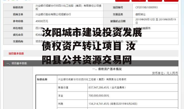 汝阳城市建设投资发展债权资产转让项目 汝阳县公共资源交易网