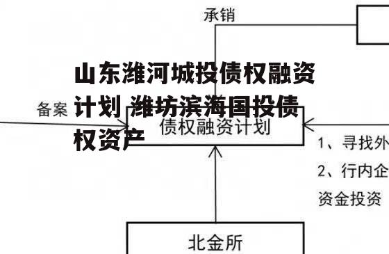 山东潍河城投债权融资计划 潍坊滨海国投债权资产