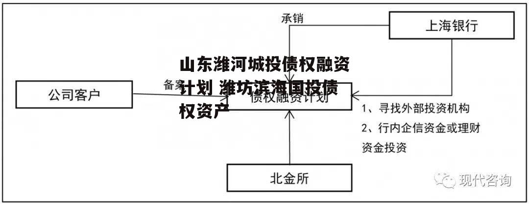 山东潍河城投债权融资计划 潍坊滨海国投债权资产