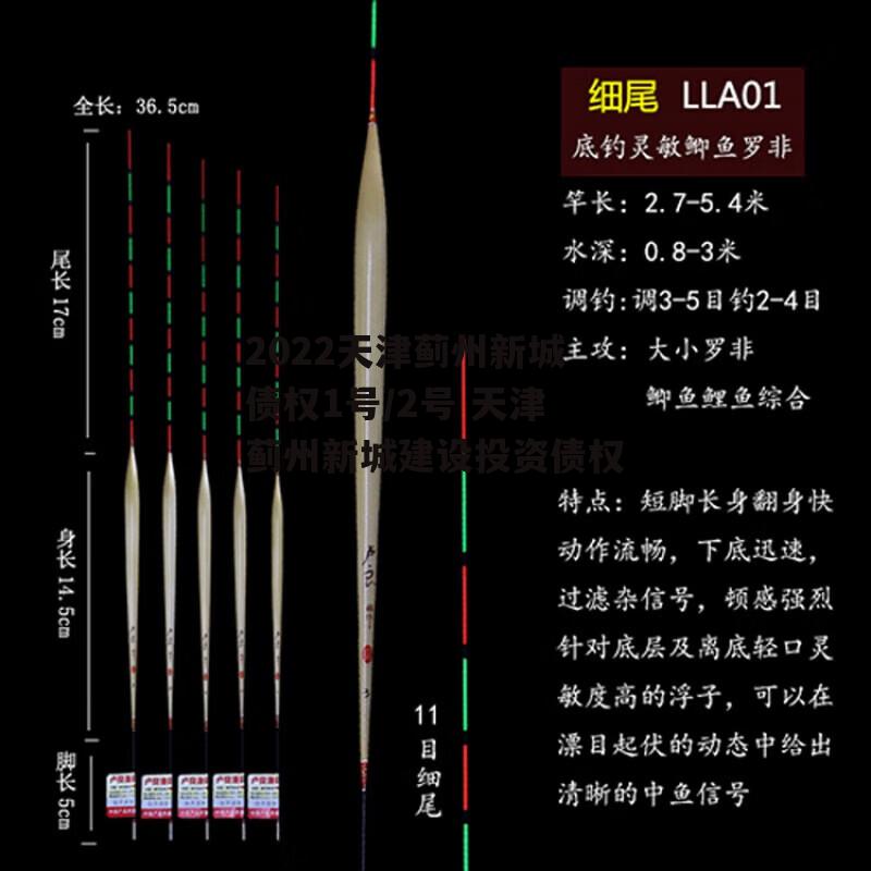 2022天津蓟州新城债权1号/2号 天津蓟州新城建设投资债权