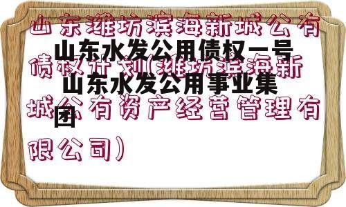 山东水发公用债权一号 山东水发公用事业集团