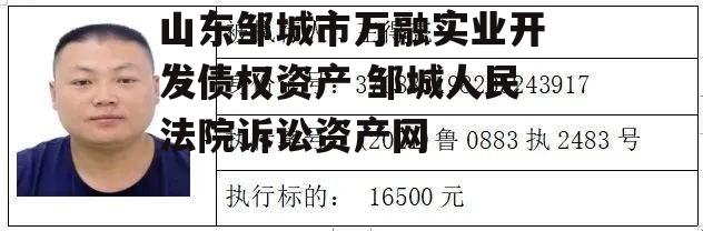 山东邹城市万融实业开发债权资产 邹城人民法院诉讼资产网