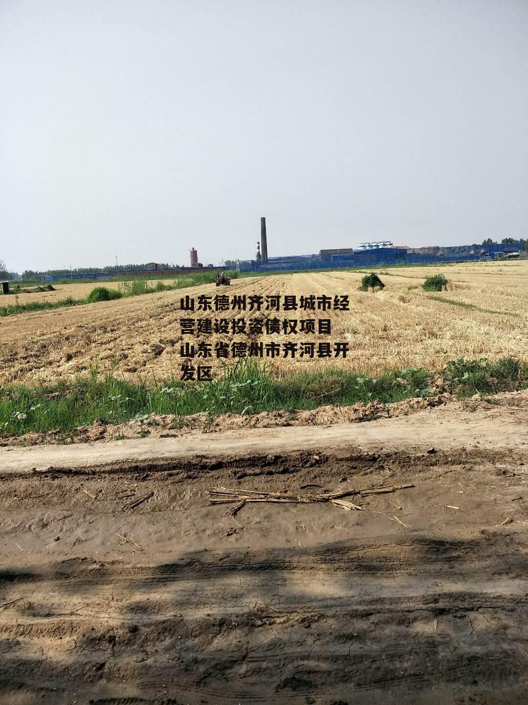 山东德州齐河县城市经营建设投资债权项目 山东省德州市齐河县开发区