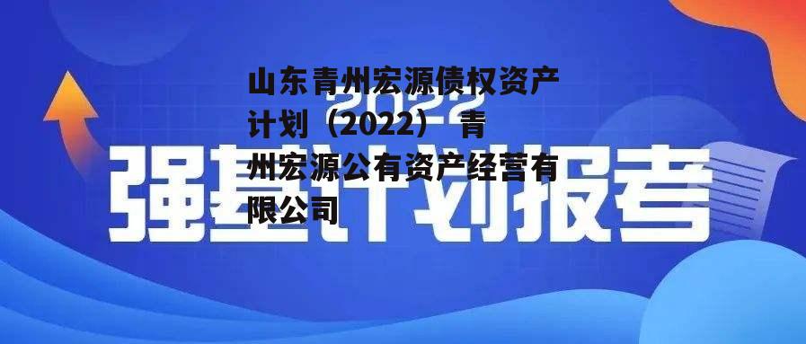 山东青州宏源债权资产计划（2022） 青州宏源公有资产经营有限公司