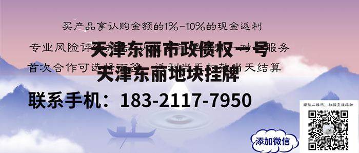 天津东丽市政债权一号 天津东丽地块挂牌