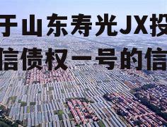 关于山东寿光JX投控政信债权一号的信息