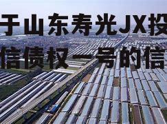 关于山东寿光JX投控政信债权一号的信息