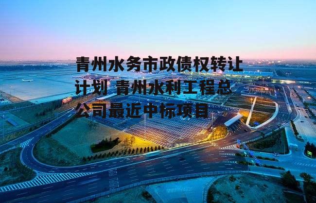 青州水务市政债权转让计划 青州水利工程总公司最近中标项目