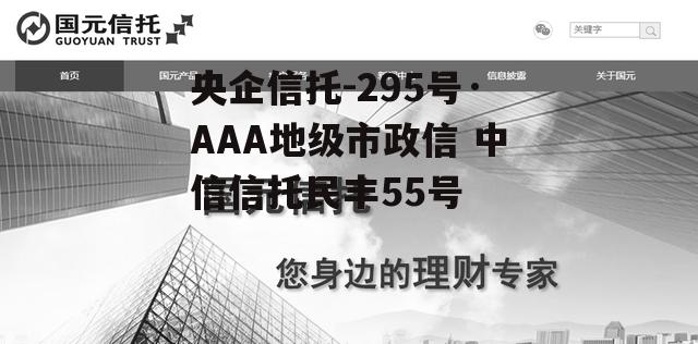 央企信托-295号·AAA地级市政信 中信信托民丰55号