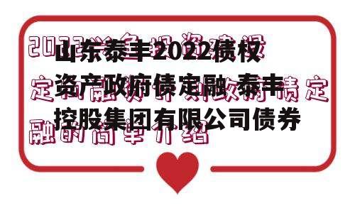 山东泰丰2022债权资产政府债定融 泰丰控股集团有限公司债券