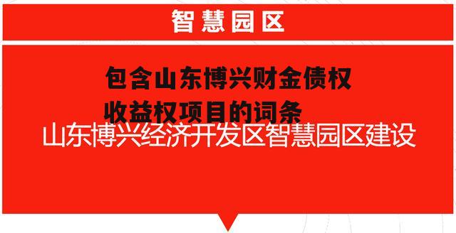 包含山东博兴财金债权收益权项目的词条