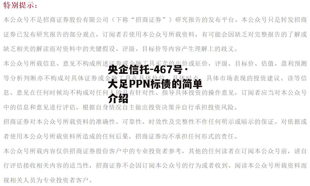 央企信托-467号·大足PPN标债的简单介绍