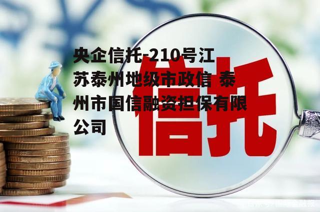 央企信托-210号江苏泰州地级市政信 泰州市国信融资担保有限公司