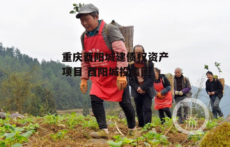 重庆酉阳城建债权资产项目 酉阳城投集团