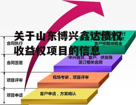 关于山东博兴鑫达债权收益权项目的信息