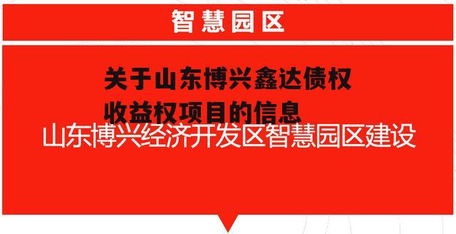 关于山东博兴鑫达债权收益权项目的信息