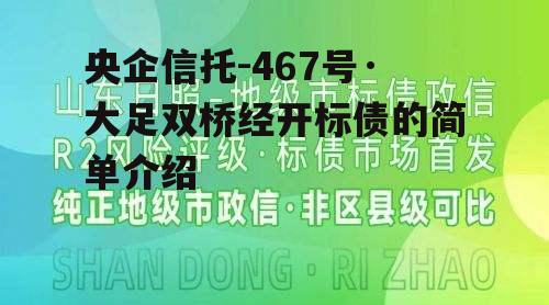 央企信托-467号·大足双桥经开标债的简单介绍