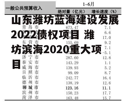 山东潍坊蓝海建设发展2022债权项目 潍坊滨海2020重大项目