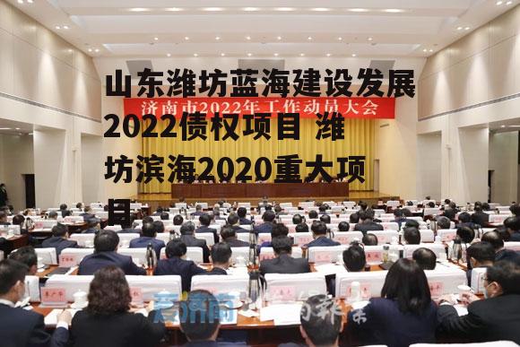 山东潍坊蓝海建设发展2022债权项目 潍坊滨海2020重大项目