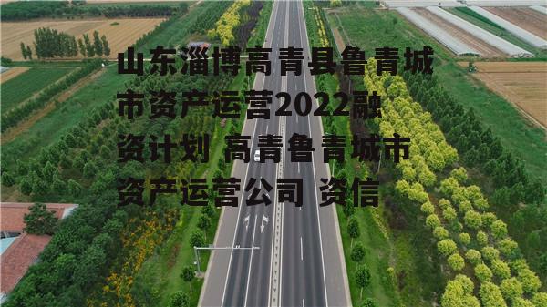 山东淄博高青县鲁青城市资产运营2022融资计划 高青鲁青城市资产运营公司 资信