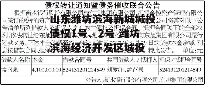 山东潍坊滨海新城城投债权1号、2号 潍坊滨海经济开发区城投