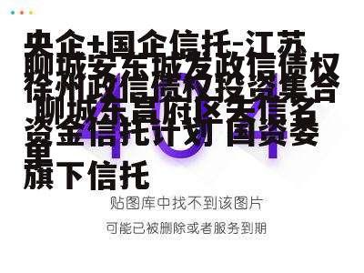 聊城安东城发政信债权 聊城东昌府区失信名单