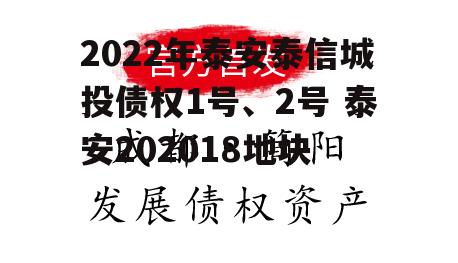 2022年泰安泰信城投债权1号、2号 泰安202018地块