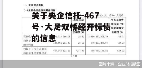 关于央企信托-467号·大足双桥经开标债的信息