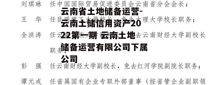 云南省土地储备运营-云南土储信用资产2022第一期 云南土地储备运营有限公司下属公司